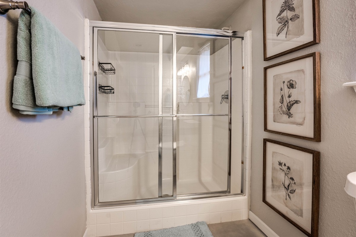 Guest Bathroom 2