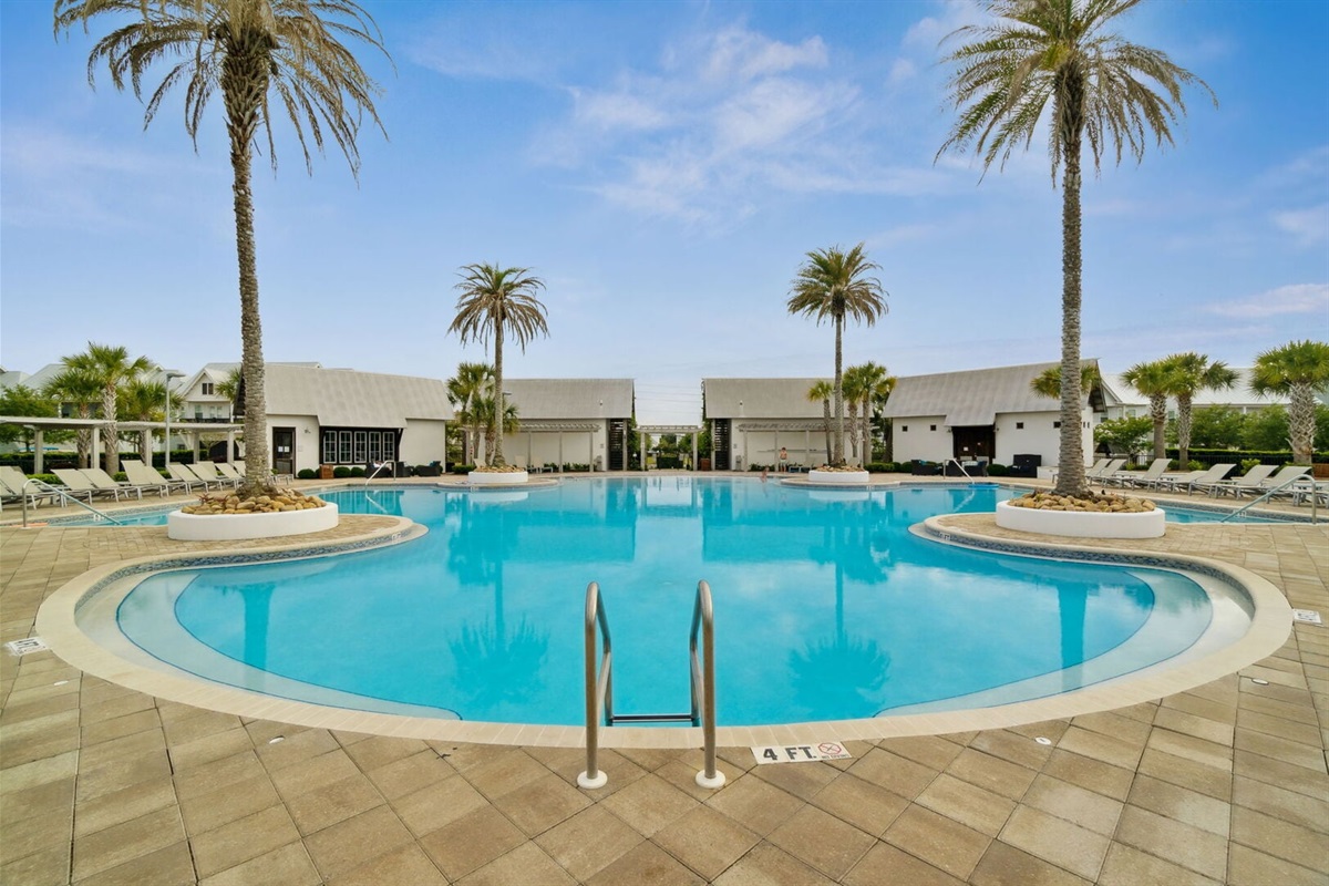 Prominence community pool with palms and loungers.