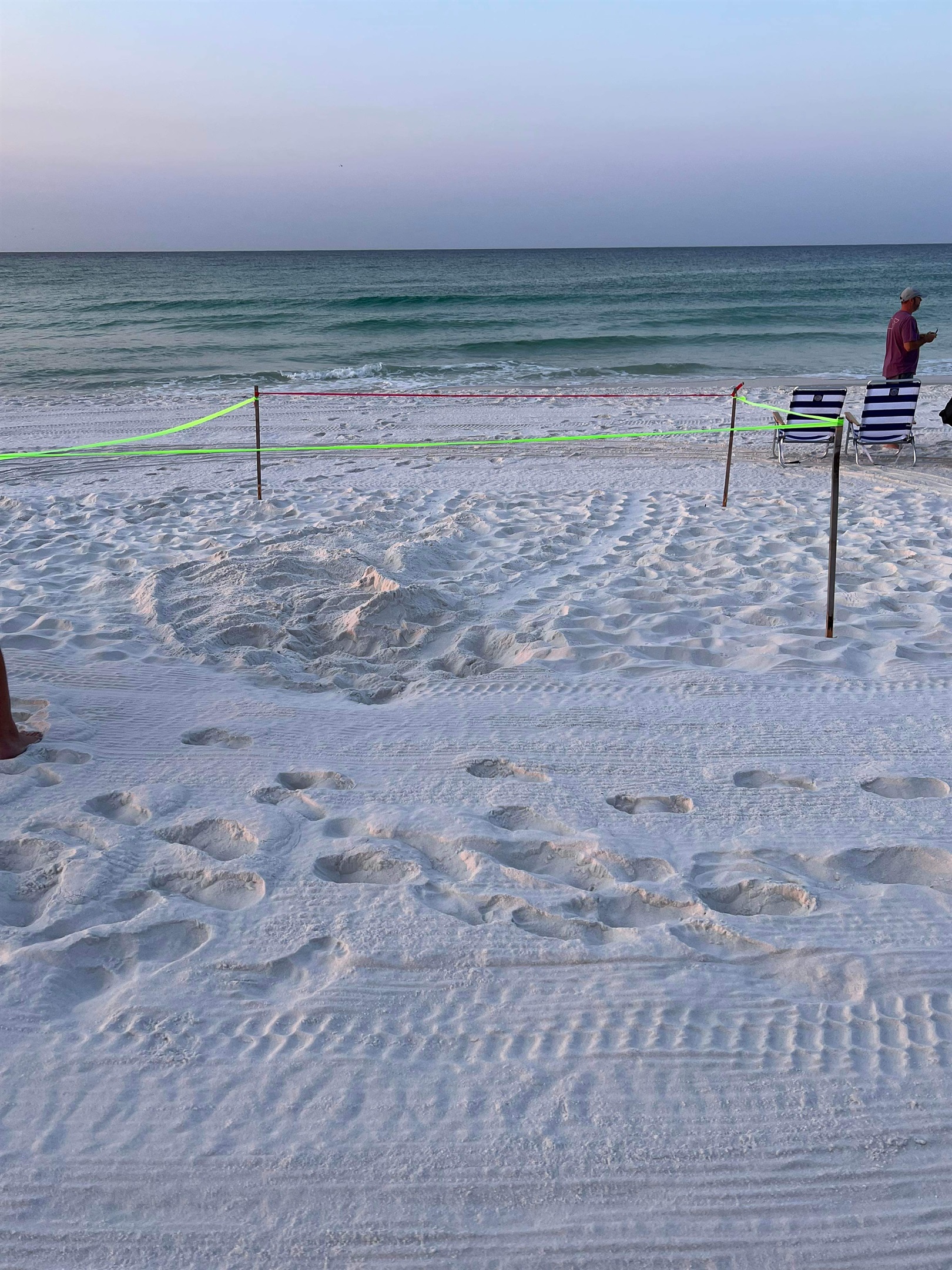 Nesting sea turtles can be seen right from the balcony. 