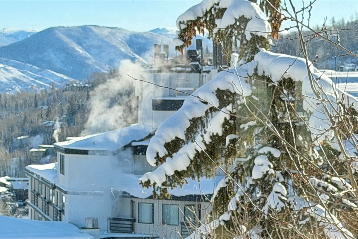 Winter light arrives slowly in the mountains and when witness those peaks light up, through the living room windows, you'll understand exactly why people come back to Snowmass season after season. 