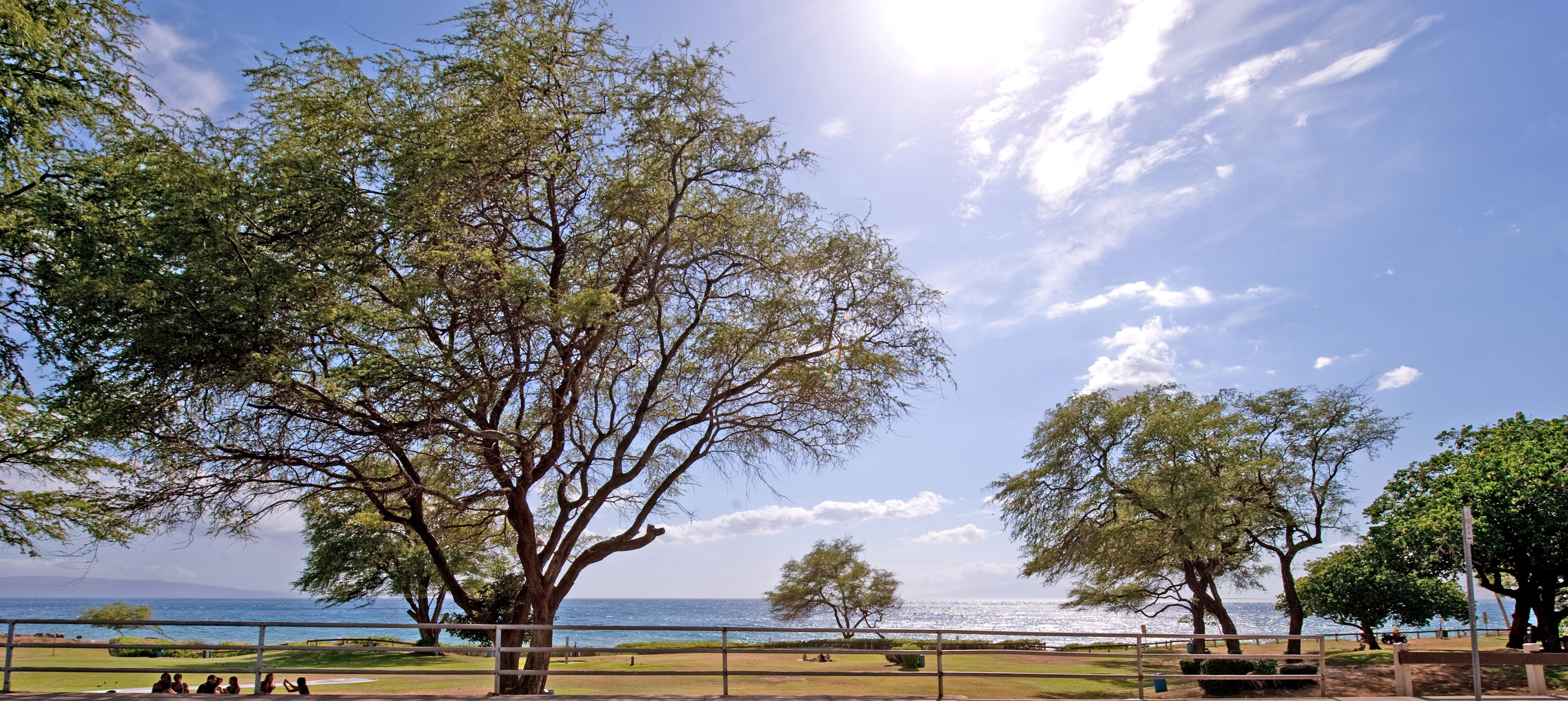 Kamaole 3 beach park
