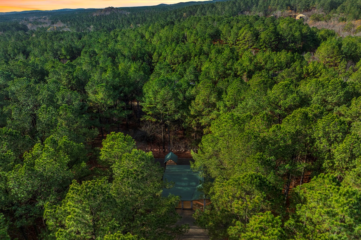 Secluded retreat tucked into the treetops — total privacy vibes 🌄