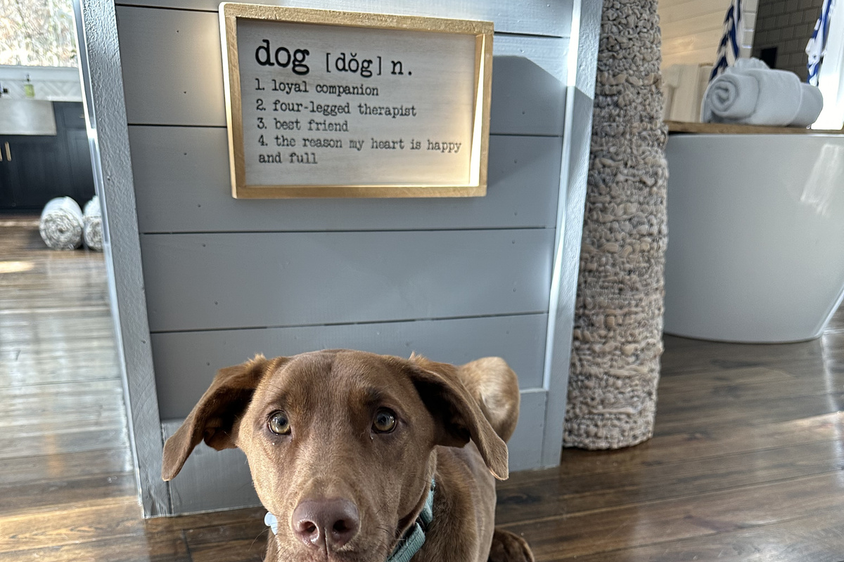 Our furry pal Pretzel @FirstKiss!