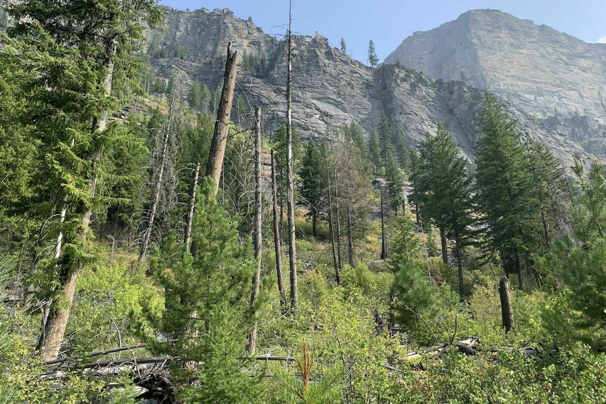 Short hike up Mill Creek just west of house.