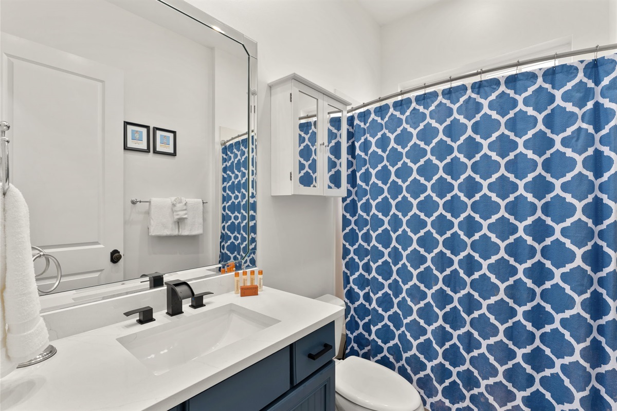 Guest: Tub/Shower Combo