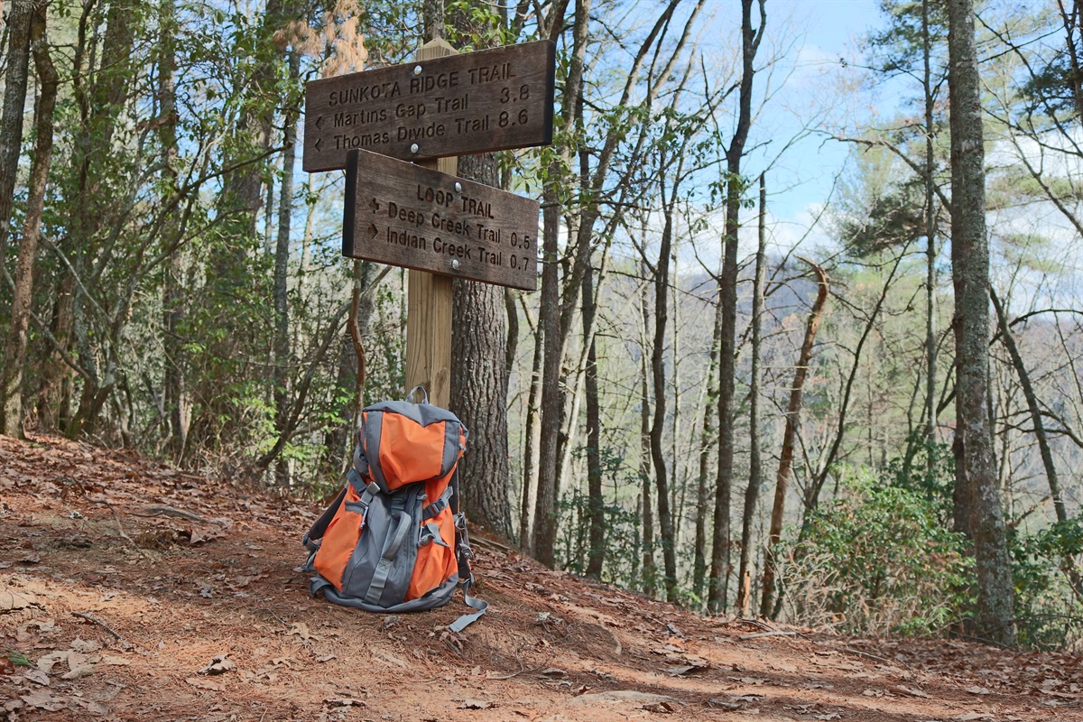 Great Smoky Mountains National Park is only minutes away!