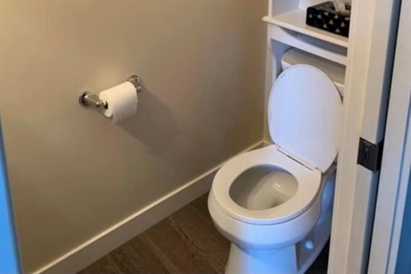 Private water closet with storage cabinet and clean, modern finish