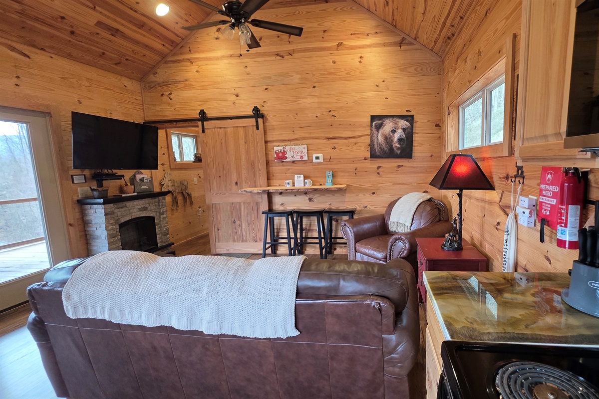 Large TV for streaming and an electric fireplace. 