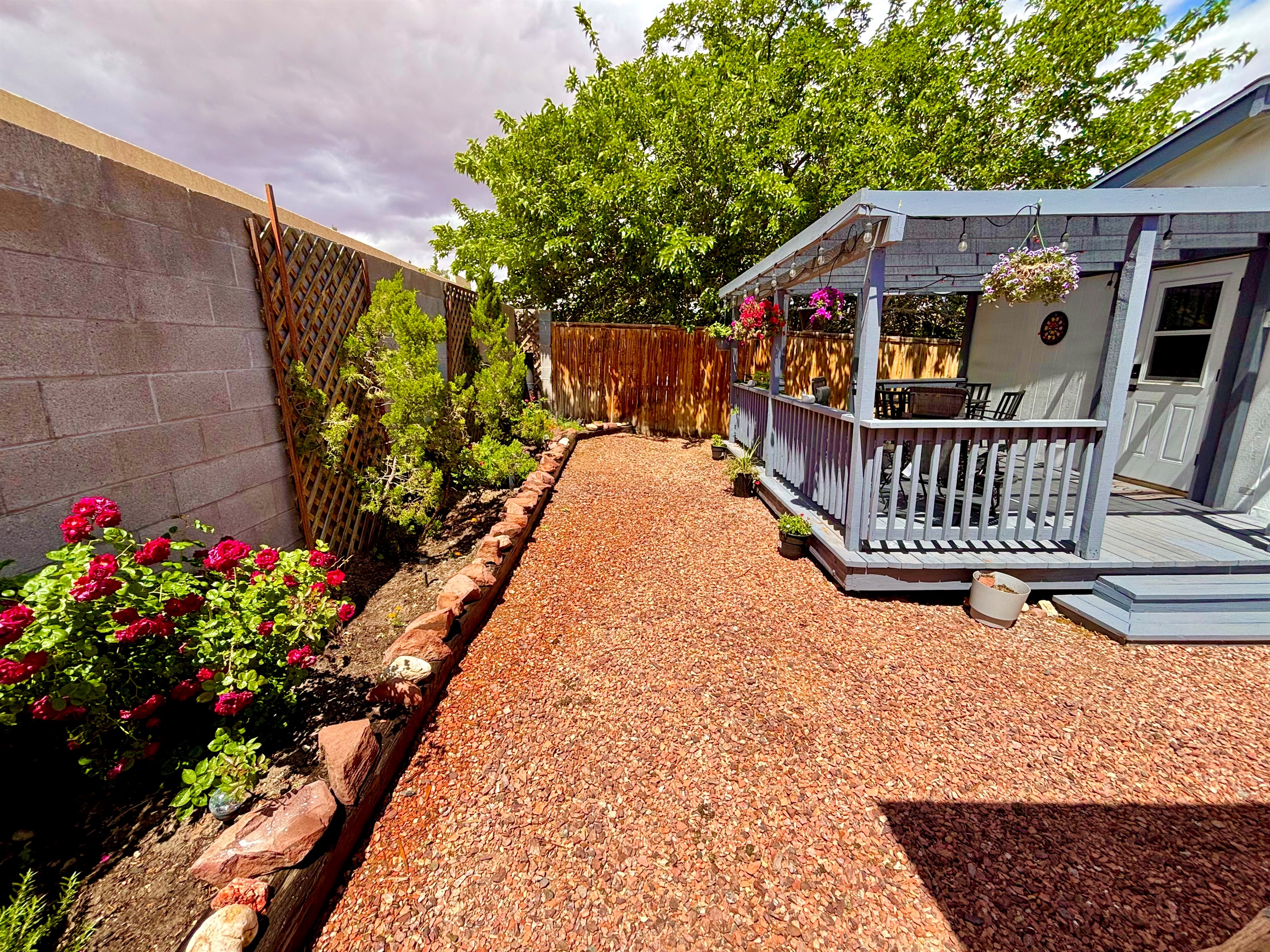Backyard