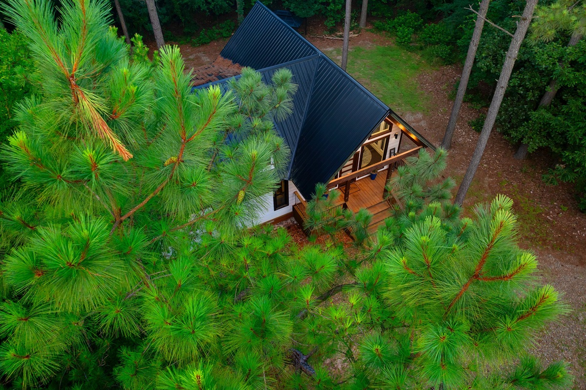 Charming Cabin Retreat: Nestled among pines, enjoy serene nature views from the cozy patio!