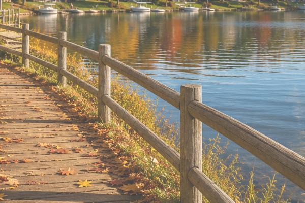 Lake Minnetonka only 3 miles away - a beautiful drive with these Fall Colors.