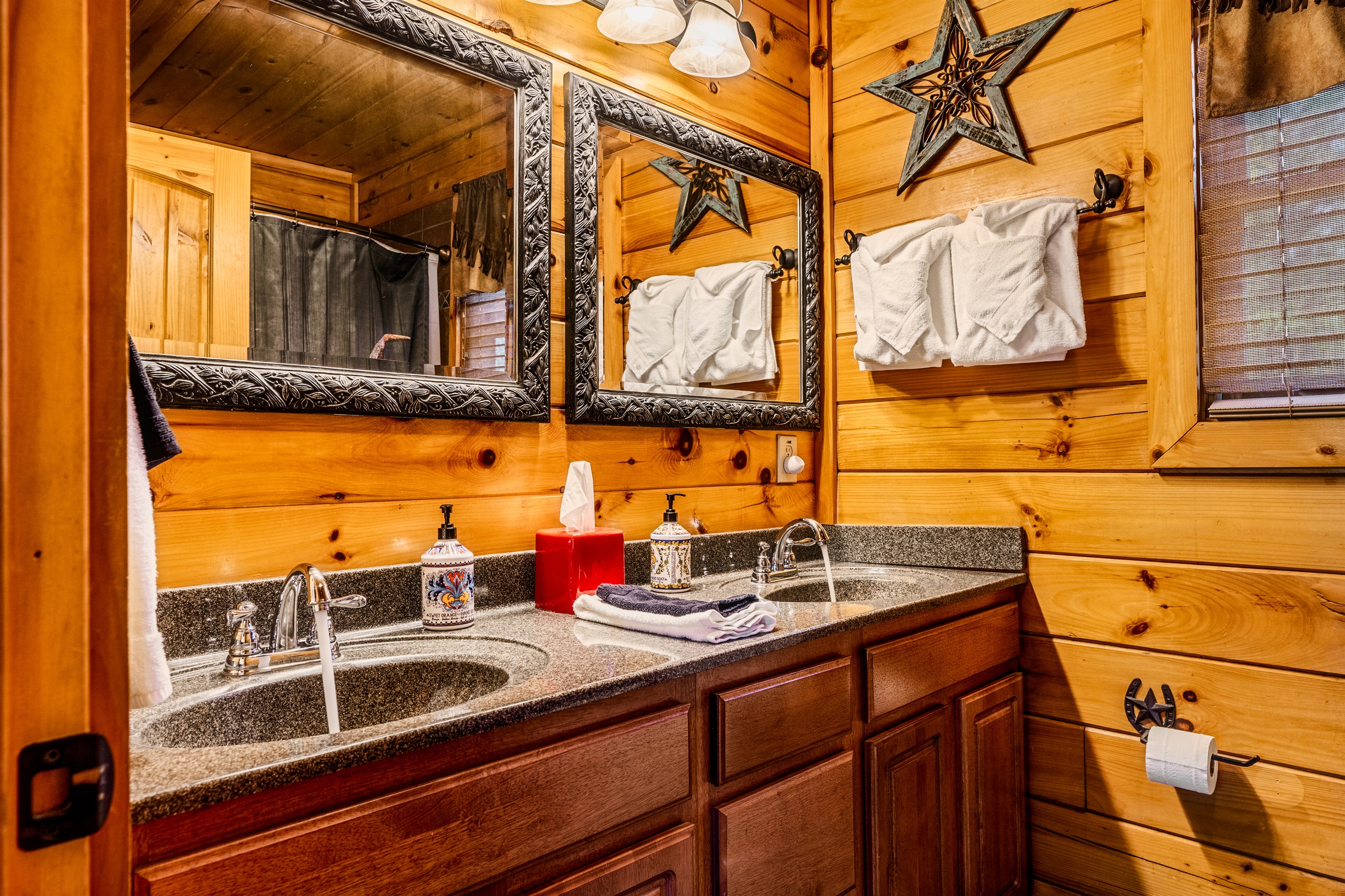 Longhorn bathroom.