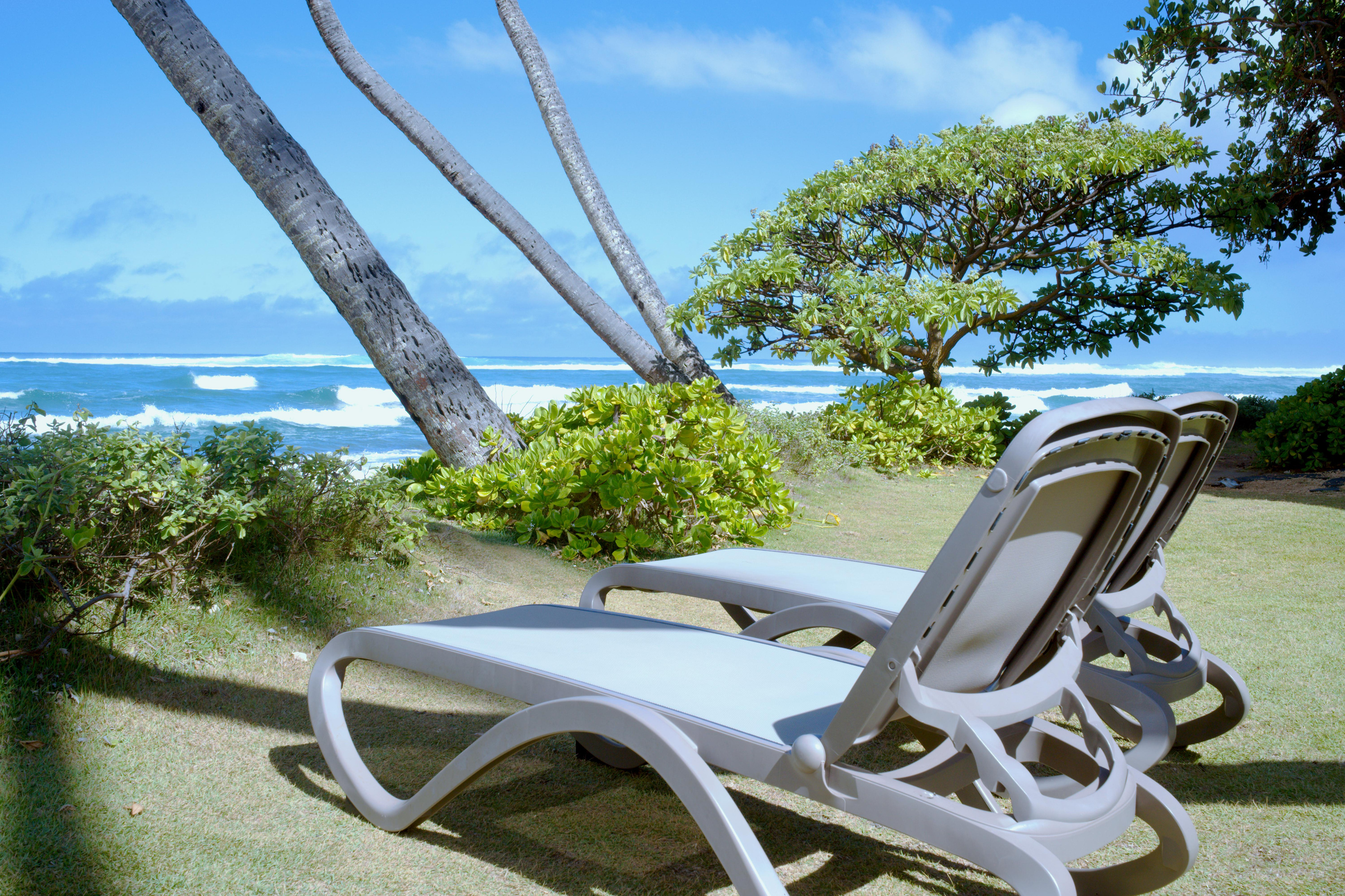 Lawn chairs for your relaxation