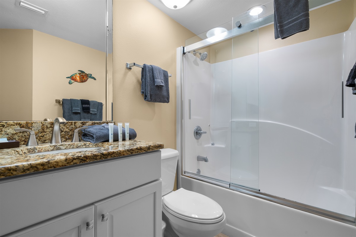 Guest Bath