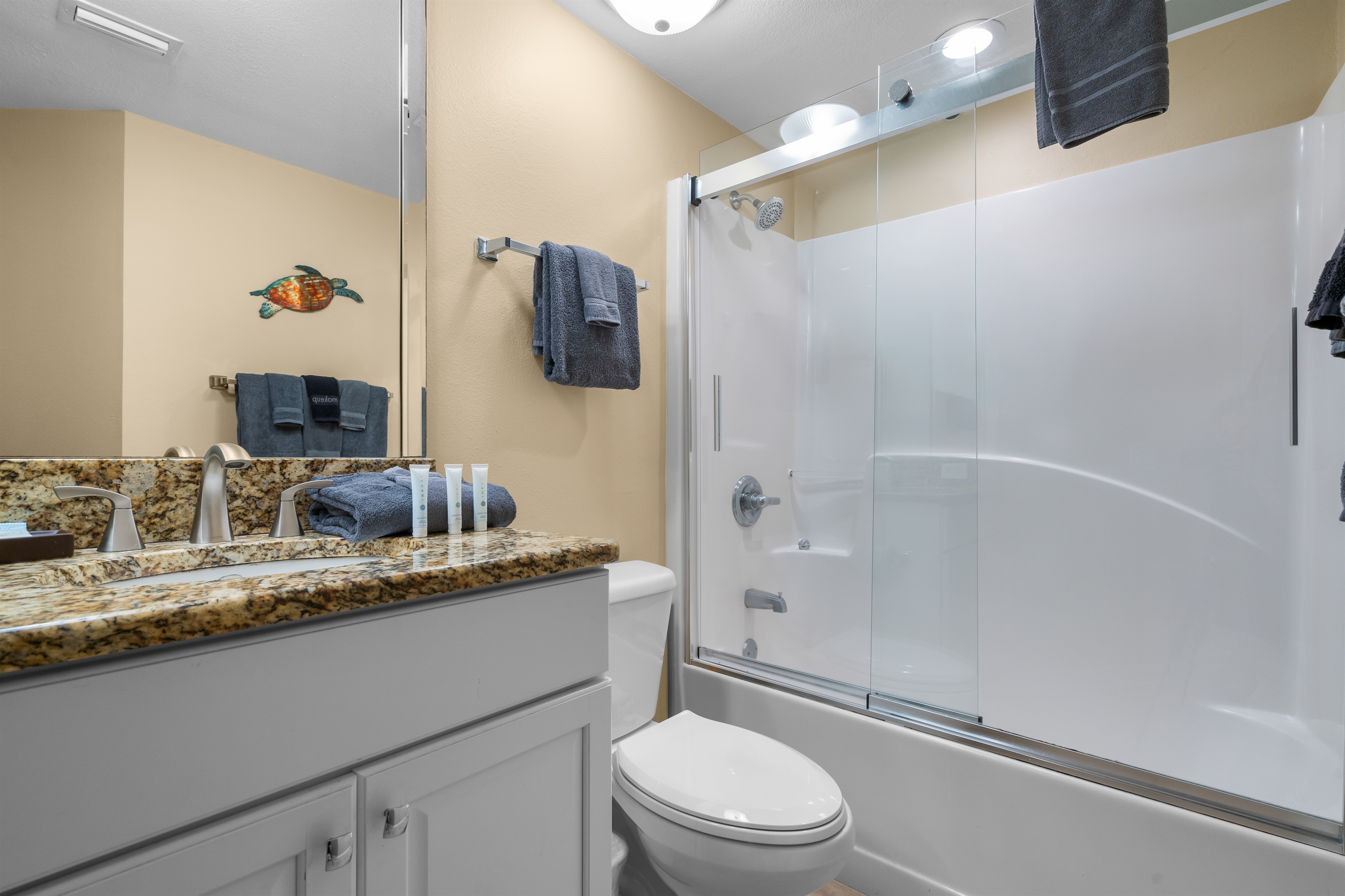 Guest Bath