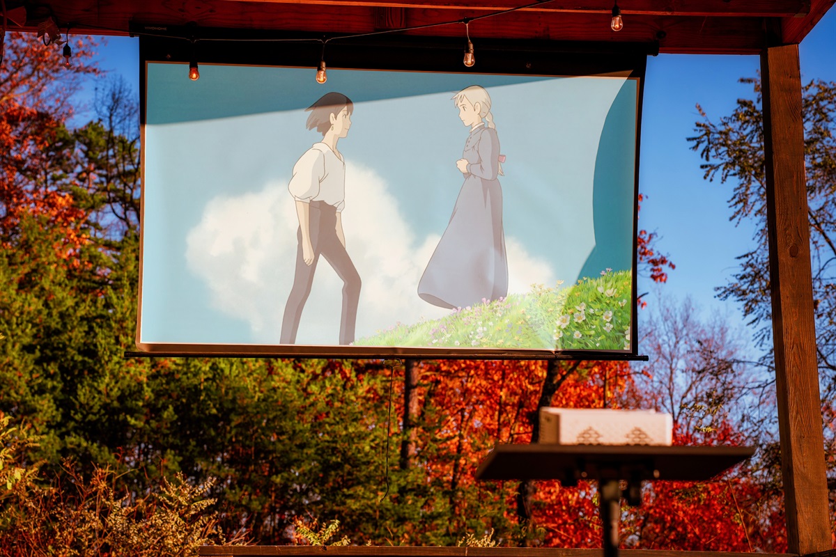 Outdoor projector setup. Movies under the sky with a cabin-view backdrop.