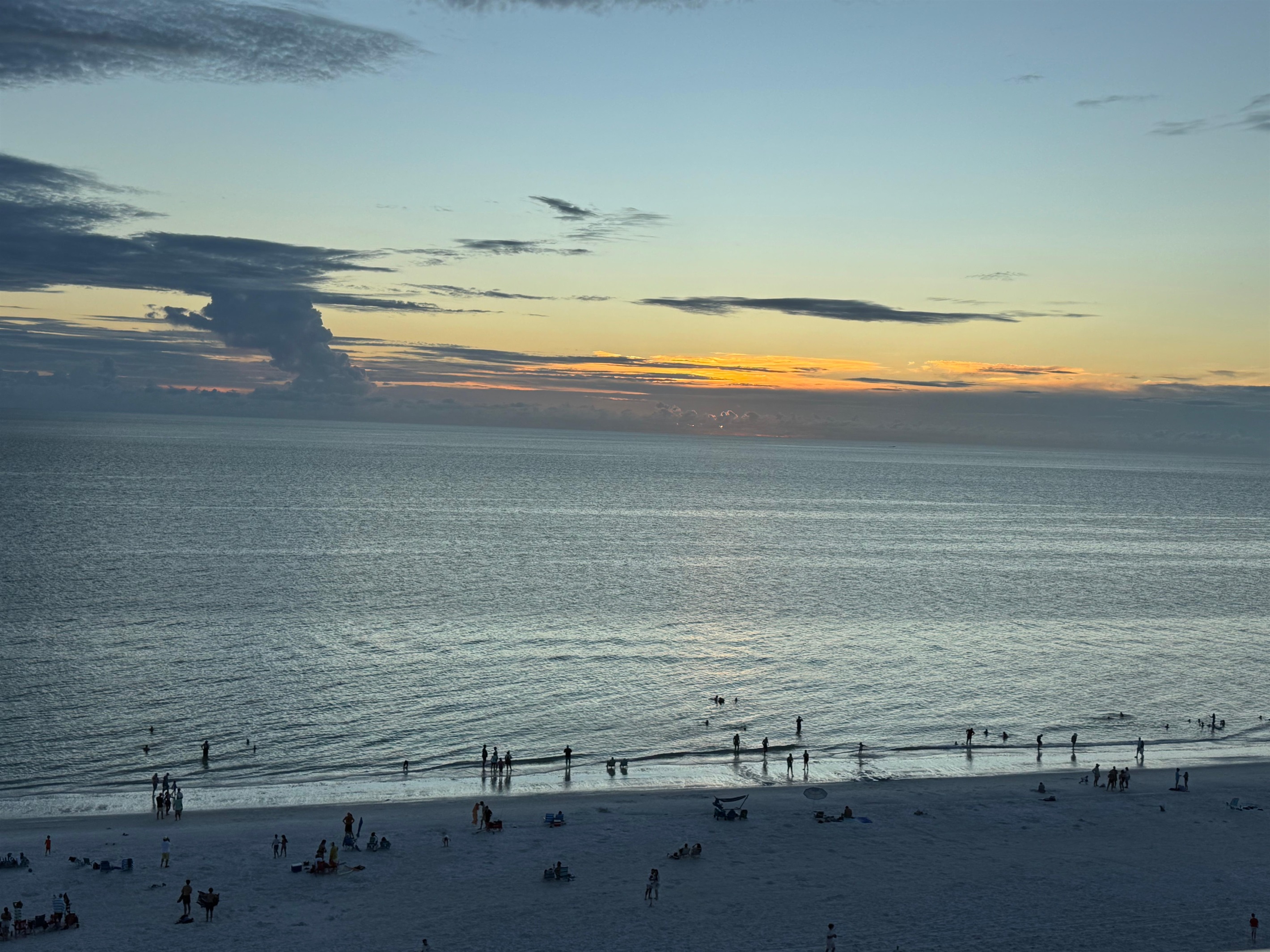 Ann S., Aug 19, 2025