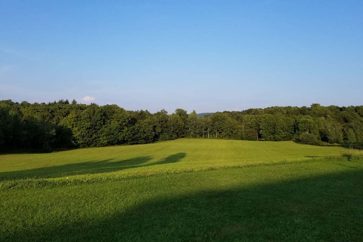 View from Balcony