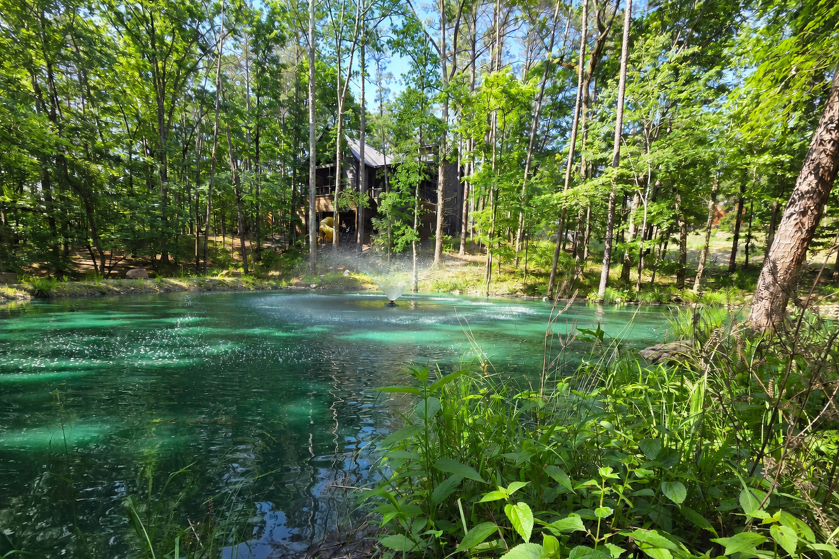 Koi Pond and the Back of the Cabin