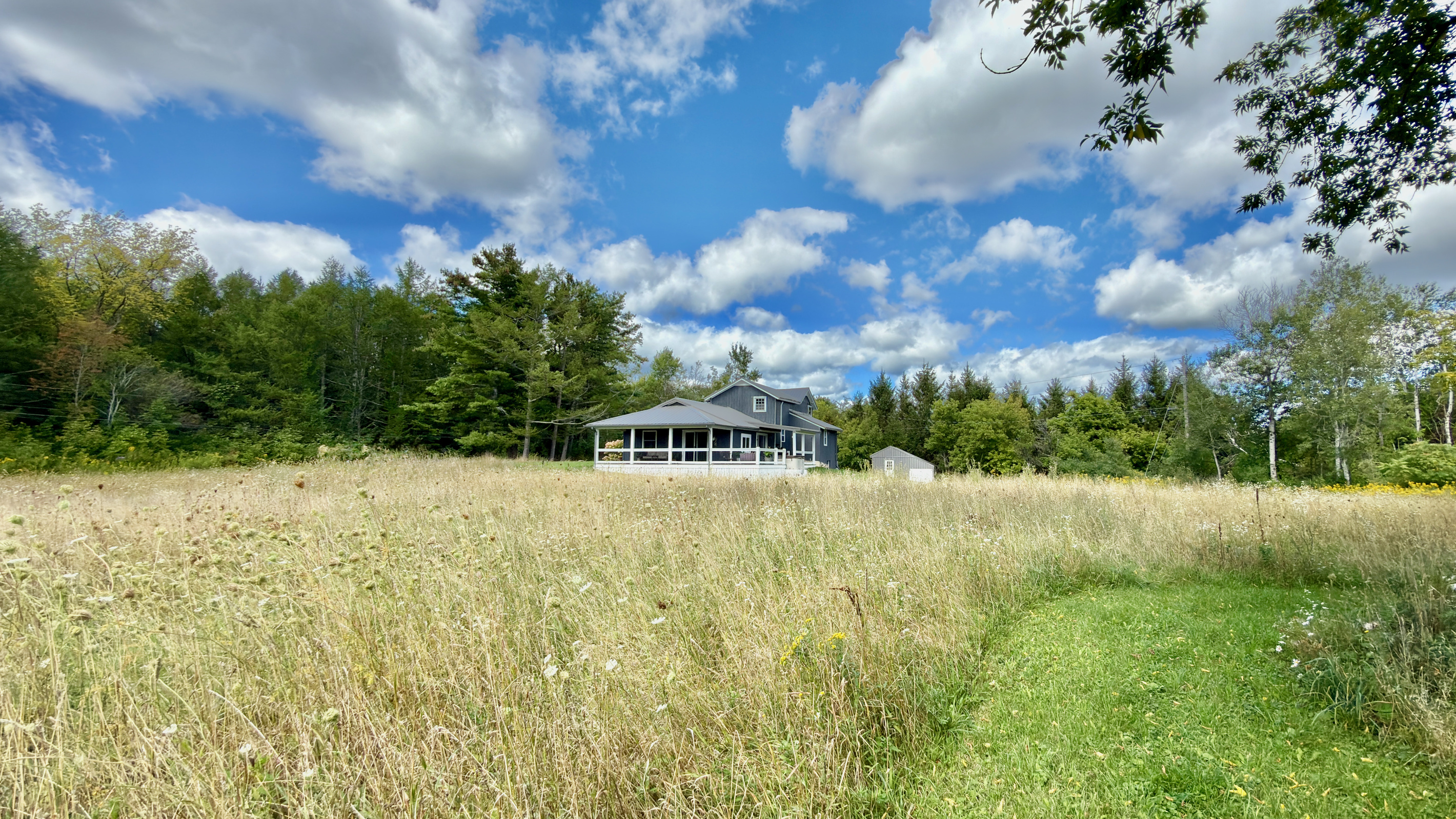 Stroll through our late-August wildflower meadow on this private mowed path leading from the pond back toward the home.