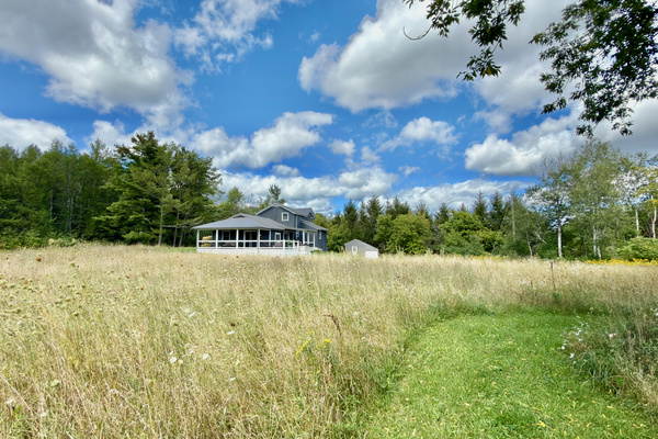 Stroll through our late-August wildflower meadow on this private mowed path leading from the pond back toward the home.