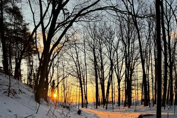 Snowy path, glowing sunset, and a peaceful walk to the beach—winter at its best.