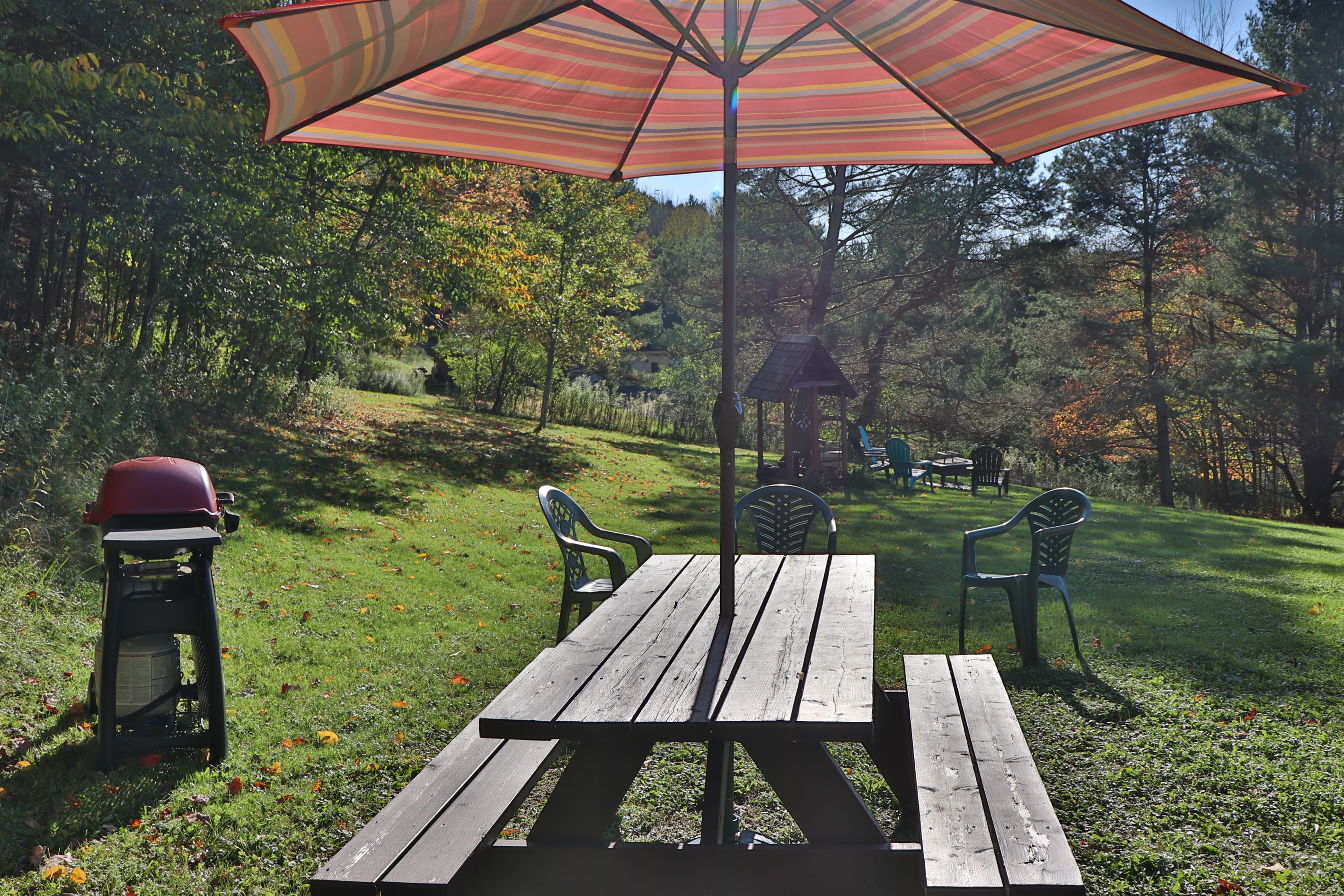 Outside dining and grilling