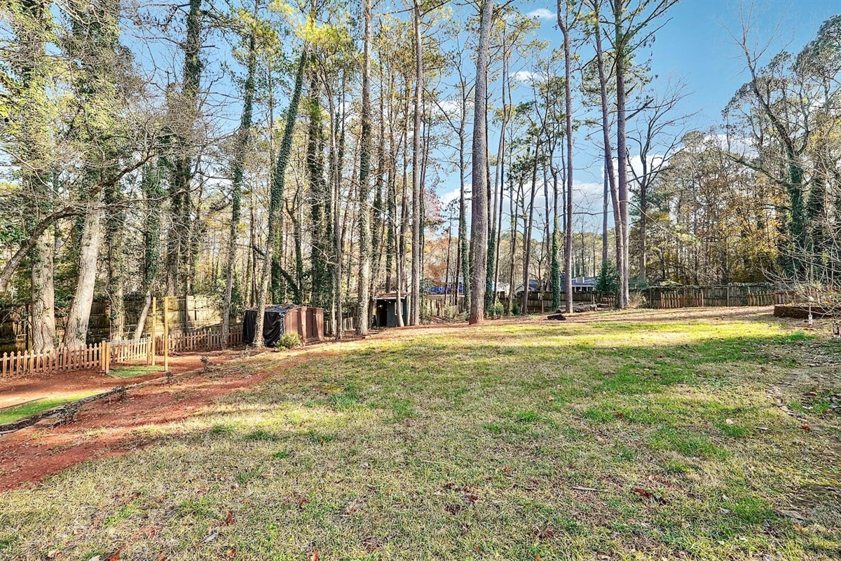 Backyard