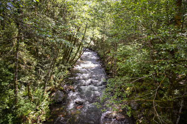 Can Always Hear The River