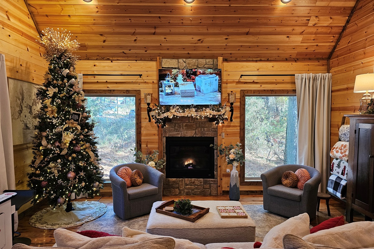 Enjoy The Christmas Holidays!