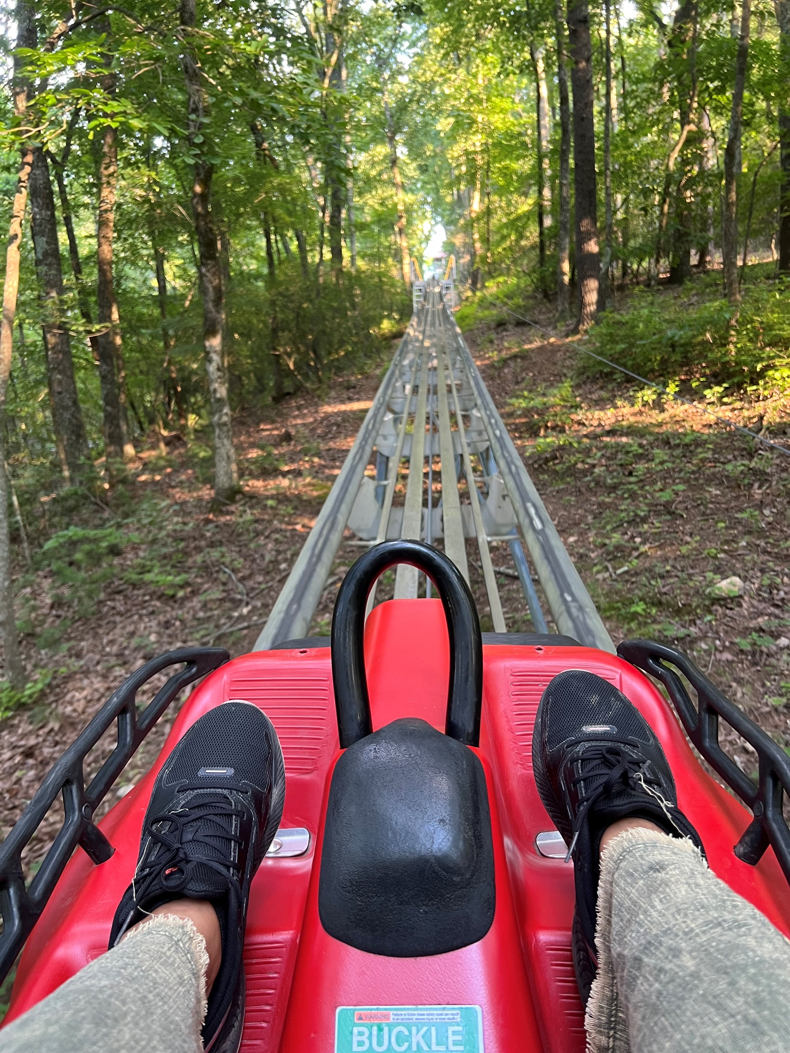 Up and Down, Pure Roller Coaster Fun!