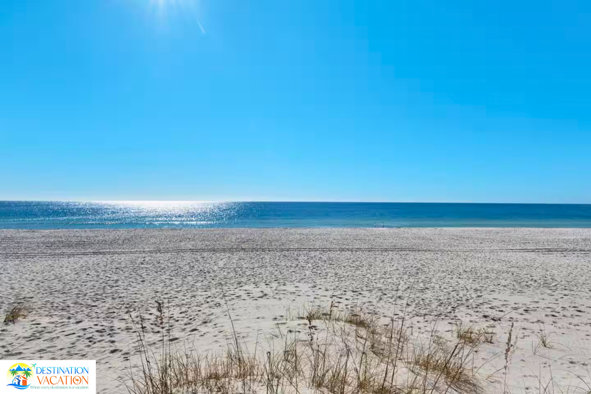 Peaceful dunes provide the perfect coastal backdrop.