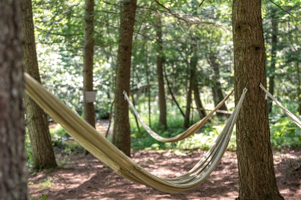 Bring a book, a playlist, or just enjoy the quiet sounds of the stream.