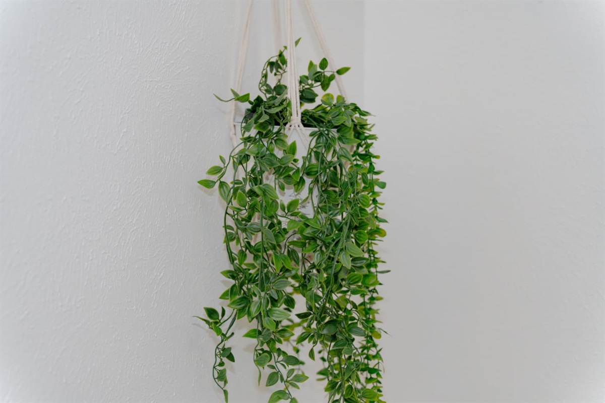 Living room decor styled with fresh greenery accents.
