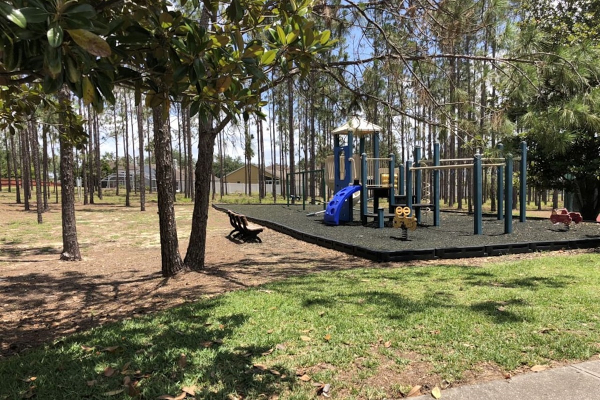 Swings & Children's Playground