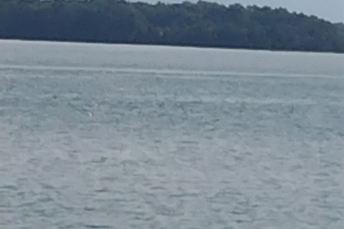 AHHH The Lake Awaits