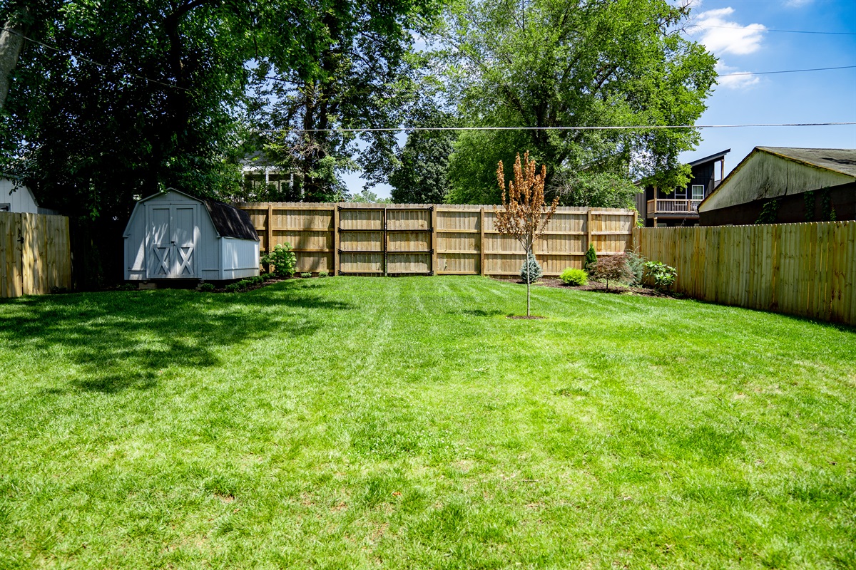 Spacious back yard for you and your guests