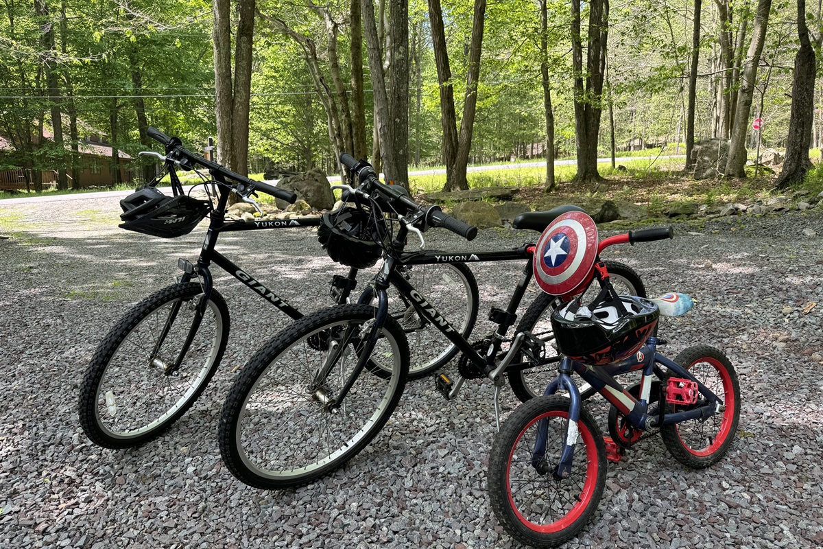“Ride through forest trails with our bikes for all ages.”
