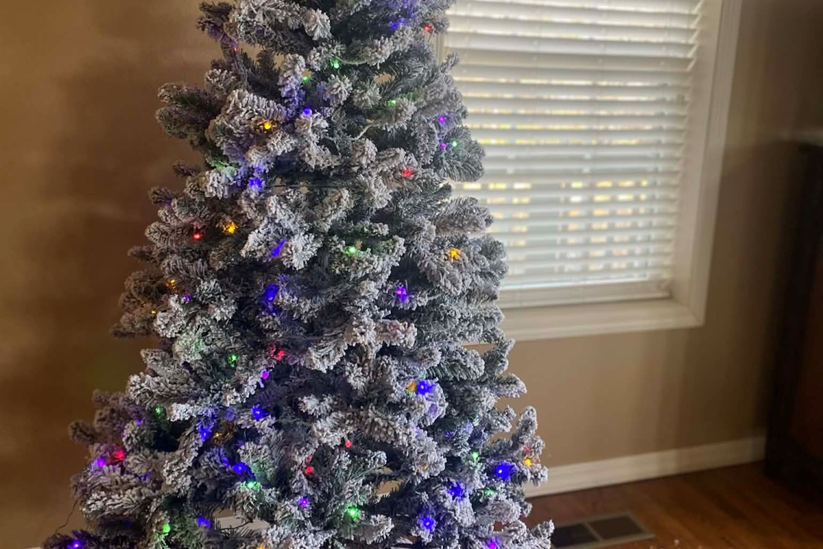 Yes, we decorate for Christmas!