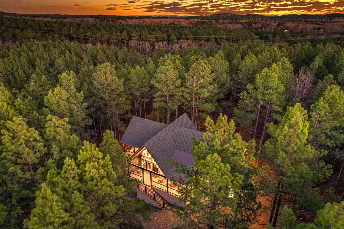 Aerial view of cabin surrounded by dense woodland.