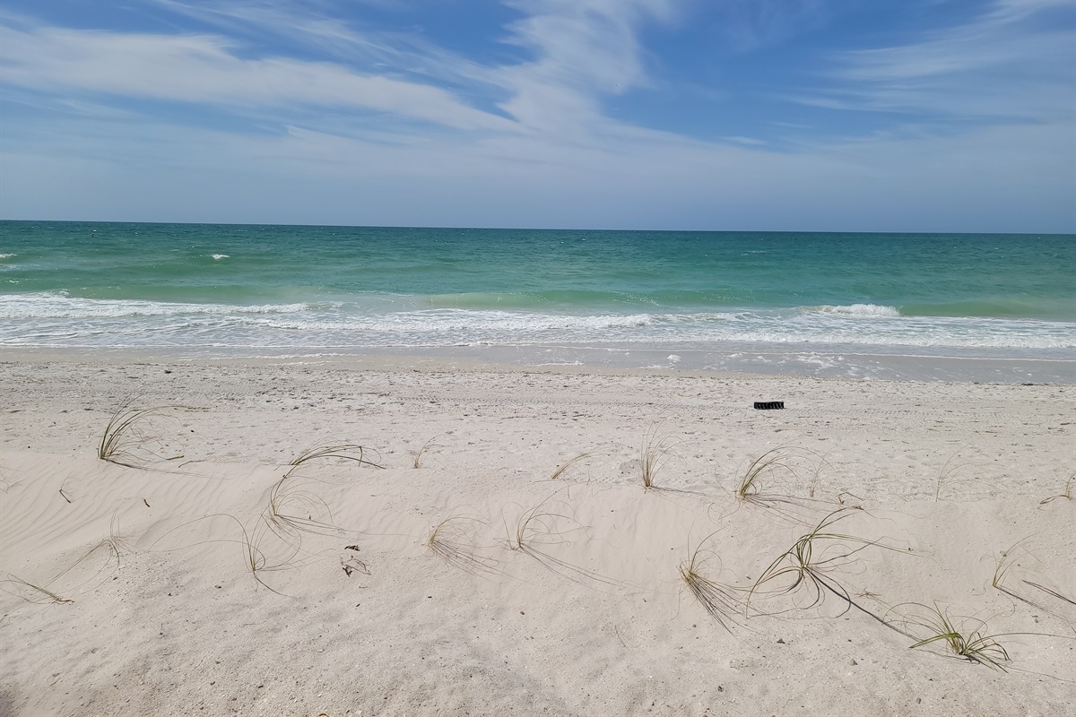 This gorgeous condo is Beachfront!