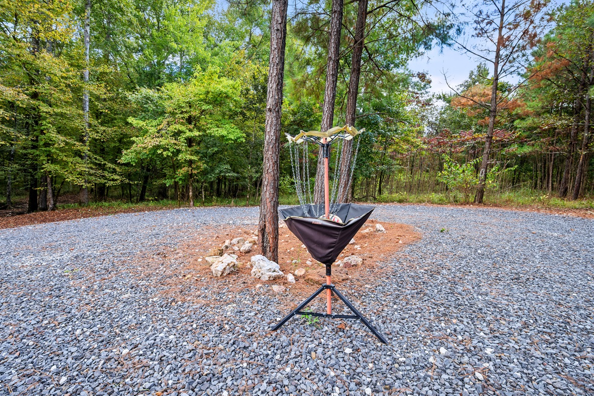 Private disc golf goal surrounded by trees.