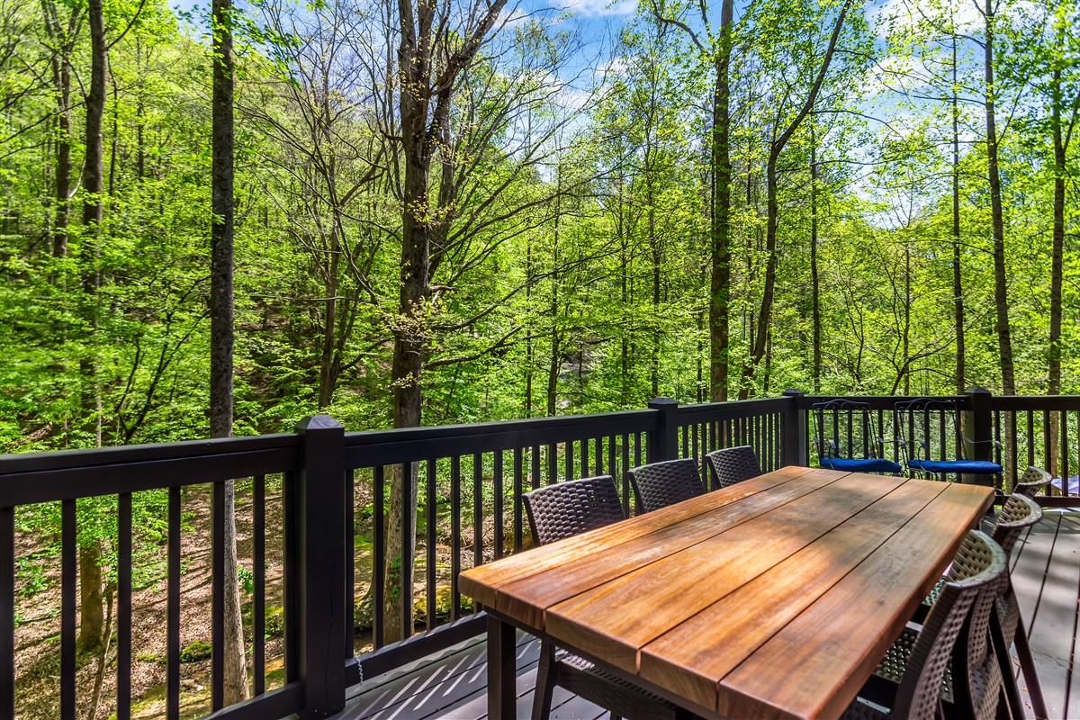 Deck dining in the afternoon or evening! Great place for takeout with wine and watch the deer visit with views of the water.