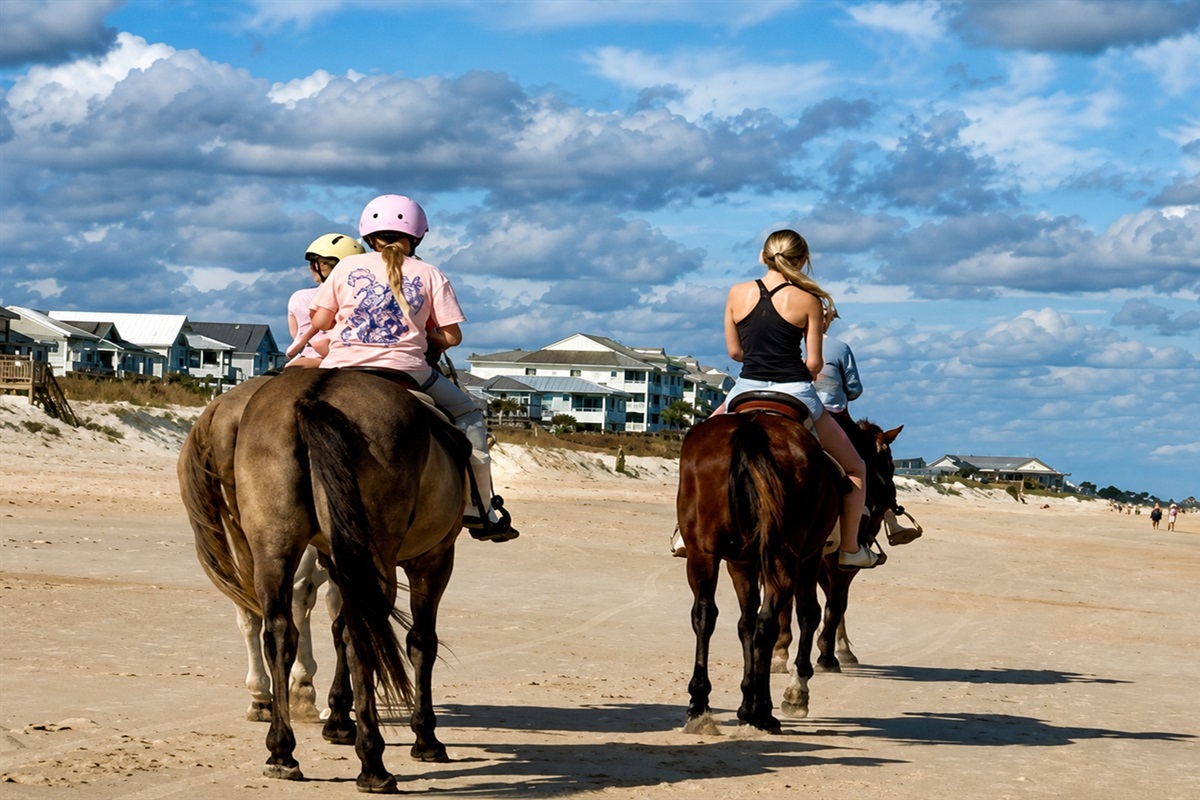 Morning light, salty air, and the steady rhythm of hoofbeats turn a simple beach ride into a family memory in motion. Along this wide, quiet shore, every step feels softer, every laugh lingers longer, and togetherness comes easy.