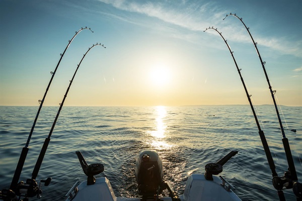 Many fishing charter options in Englewood