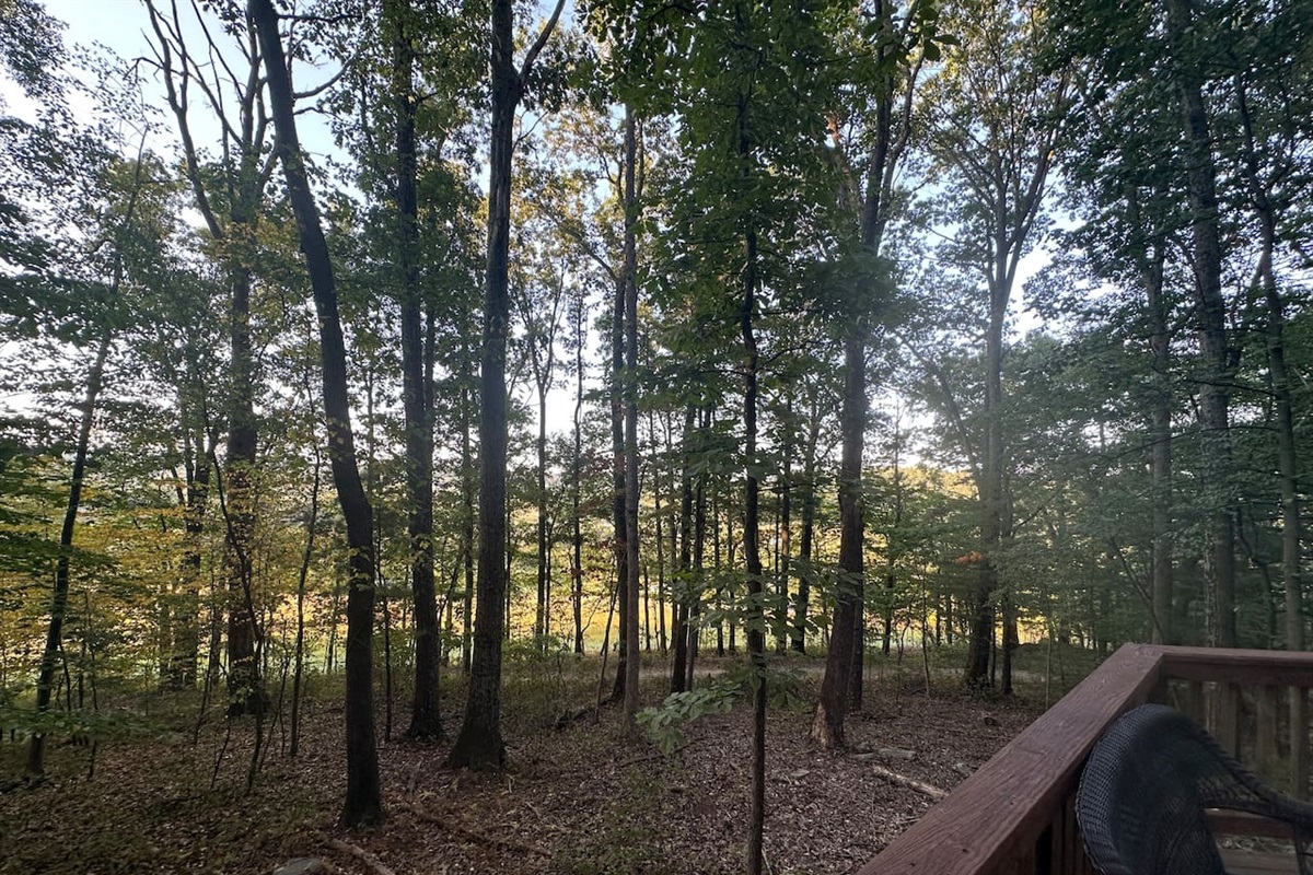 Nestled among mature trees, the property offers a peaceful woodland vibe plus a charming children’s play area—ideal for families to relax while the kids explore and enjoy nature.
