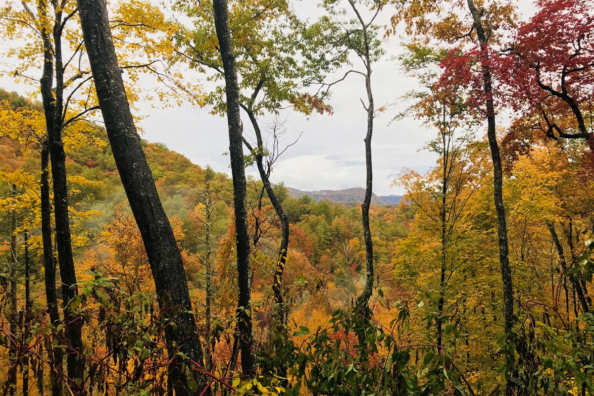 When autumn arrives, the mountains come alive in color. Crisp air, vibrant leaves, and front-row views of fall from your private deck.