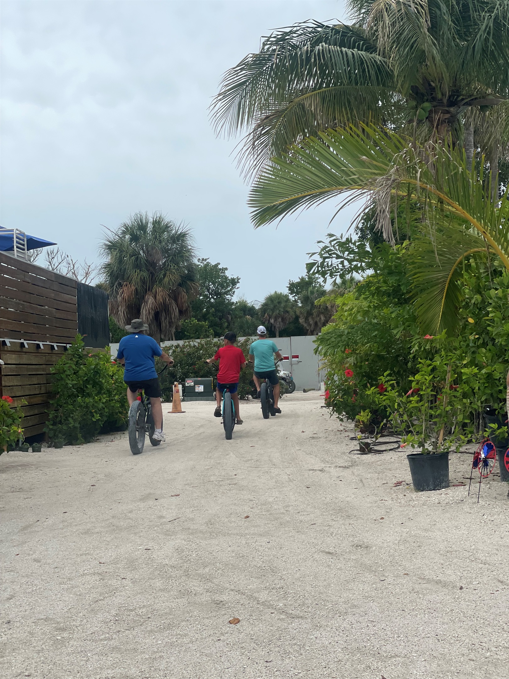 Fat bike rental for exploring the island
