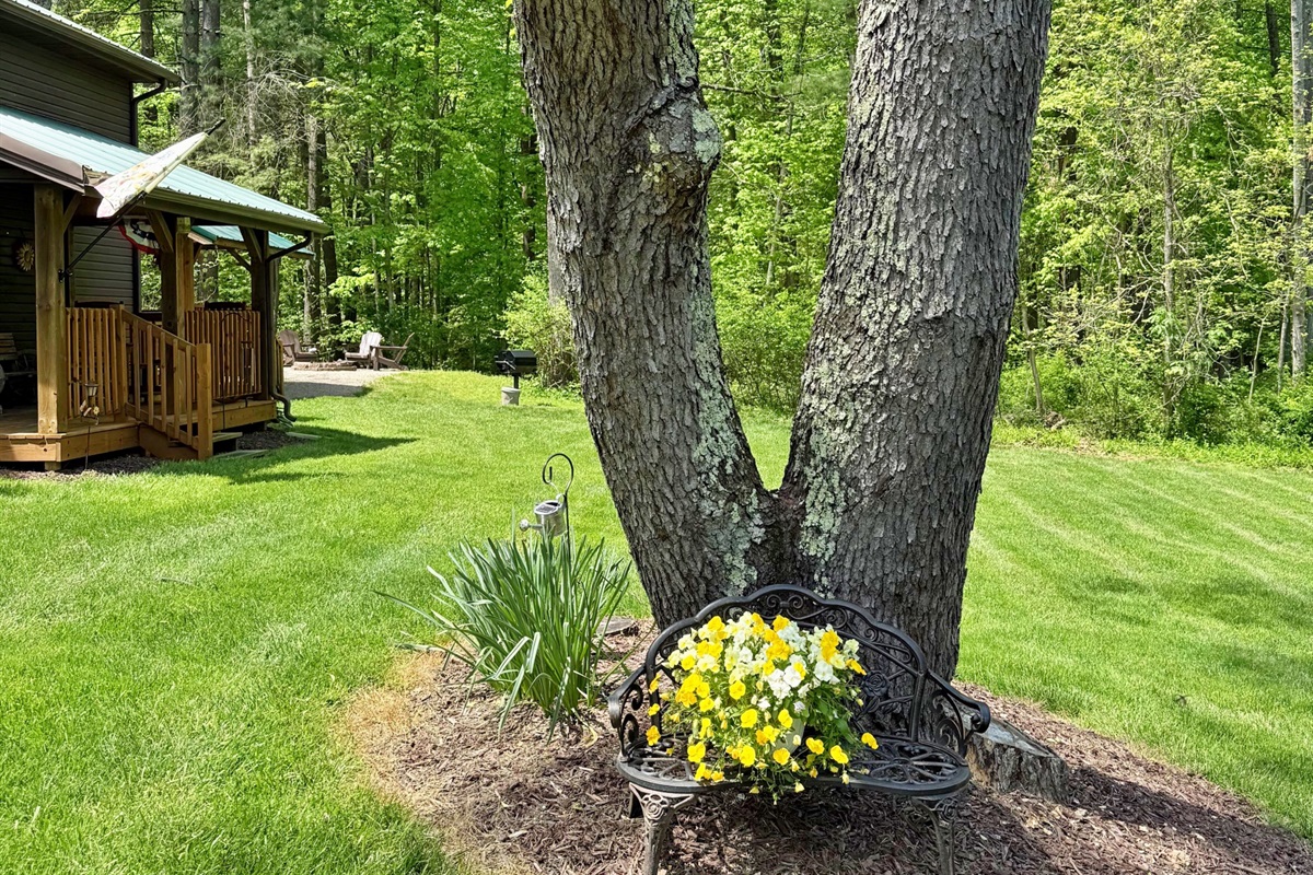 Enjoy the green grassy area at the Homestead!