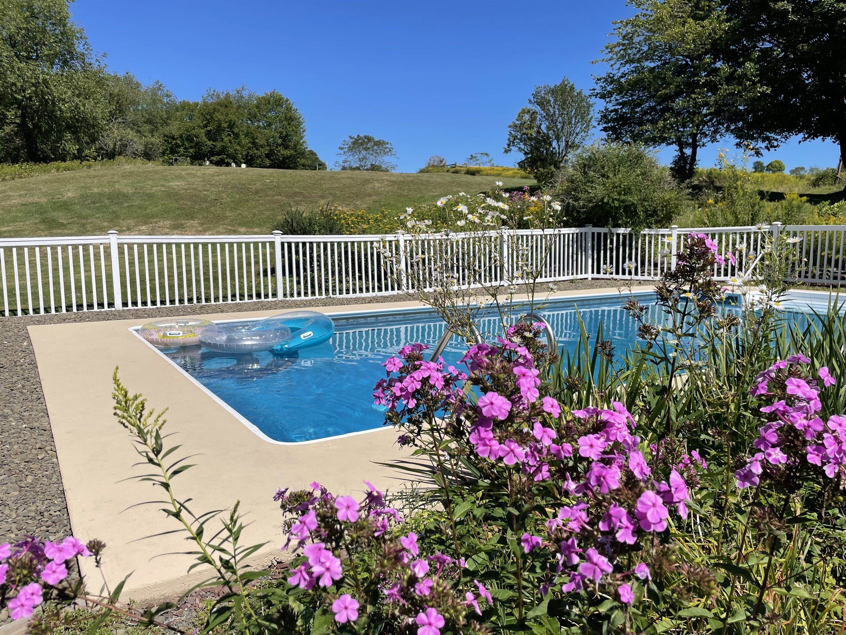Flowers next to inground pool (open Memorial Day - Setember 30)